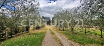 Lotes desde $19/m² en Rancho San José con vista a los Ilinizas