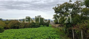 Terreno en Guayllabamba: 2520m² con árboles frutales y cerramiento