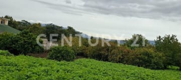 Terreno en Guayllabamba: 2520m² con árboles frutales y cerramiento