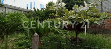 Lote en Umiña: alta plusvalía y cercanía a servicios