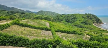 VENTA TERRENO JAMA MANABI JUNTÓ AL BALNEARIO TASASTE