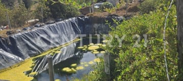 Finca 26,000m² en San Isidro de Patulú - Ideal agropecuario