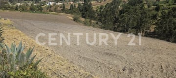 Finca 26,000m² en San Isidro de Patulú - Ideal agropecuario