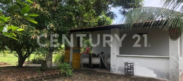 Finca 4.2ha en Milagro - Lagunas y frutales - Inversión turística $240K