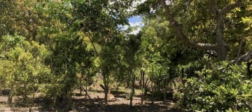 Venta casa y terreno Guayllabamba, 2.500m2 en derecho y acciones