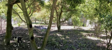 Venta casa y terreno Guayllabamba, 2.500m2 en derecho y acciones