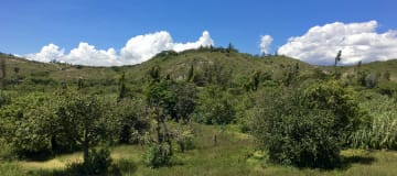 Venta casa y terreno Guayllabamba, 2.500m2 en derecho y acciones