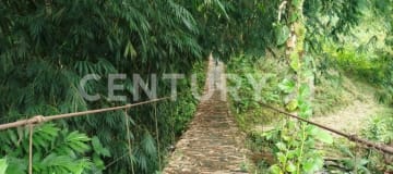 Terreno 37.5ha Vía Los Bancos: Ganadero, Agrícola e Inmobiliario