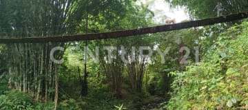 Terreno 37.5ha Vía Los Bancos: Ganadero, Agrícola e Inmobiliario