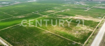 145 ha en Puerto Inca - Ideal agroexportación banano, cacao y caña
