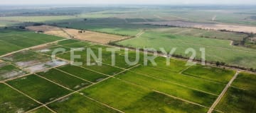 145 ha en Puerto Inca - Ideal agroexportación banano, cacao y caña
