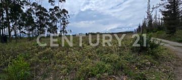 Terreno de 2.984 m² en San Juan de Malchinguí para casa de campo