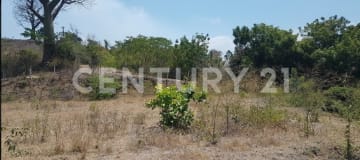 Terreno 4,320m² en Chongón, Vía a la Costa, topografía variada