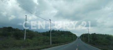 60 hectáreas en Ruta Spondylus - $4.60/m², ideal cultivos