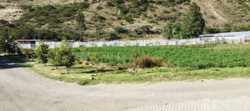 Venta terreno plano cerca a Guayllabamba. 15.000m2 a $35m2