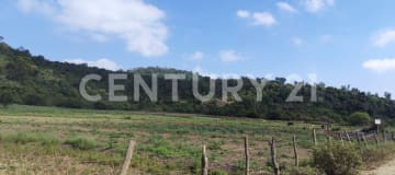 Terreno 111 ha para cantera entre Villas del Rey y Loma Alta