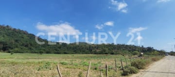 Terreno 111 ha para cantera entre Villas del Rey y Loma Alta