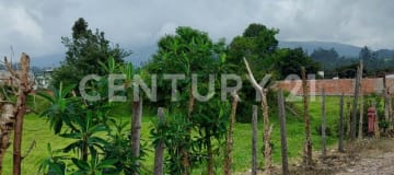 Lote plano en Pifo, escritura individual, servicios básicos