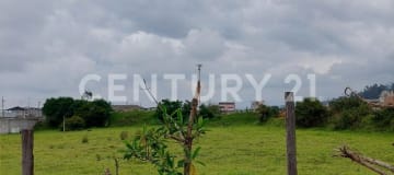 Lote plano en Pifo, escritura individual, servicios básicos