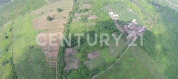 12 ha con palmas de coco y riego - Inversión agrícola