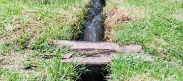 Venta de terreno plano Guayllabamba 5.000 m2, abundante agua y árboles frutales