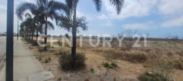 Terreno 18.1 ha con alto potencial en Vía Tejedora