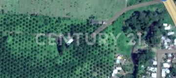 Lote agrícola-ganadero de 44 ha en La Unión, Esmeraldas