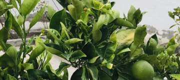 Casa en Guayllabamba