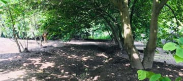 Venta terreno Guayllabamba plano 1.000m2 cerca al zoológico