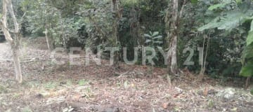 Terreno en Pedro Vicente Maldonado ideal para vivienda o negocio