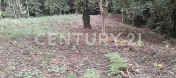 Terreno en Pedro Vicente Maldonado ideal para vivienda o negocio