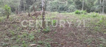 Terreno en Pedro Vicente Maldonado ideal para vivienda o negocio