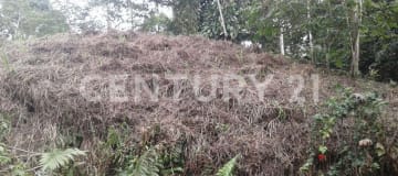 Terreno en Pedro Vicente Maldonado ideal para vivienda o negocio