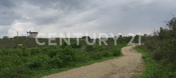 Finca 23 ha - Cultivos tropicales con agua garantizada