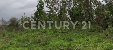 Finca 23 ha - Cultivos tropicales con agua garantizada