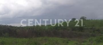 Finca 23 ha - Cultivos tropicales con agua garantizada