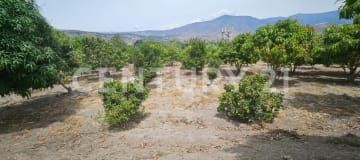 Terreno Lote ideal para inversion en venta en Norte de Ibarra