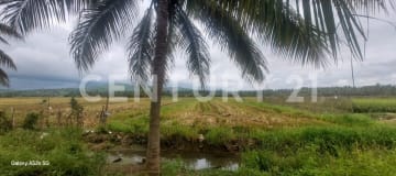 Propiedad agrícola de 3 ha con riego cerca de Sosote