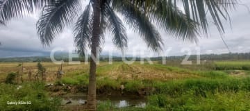 Propiedad agrícola de 3 ha con riego cerca de Sosote