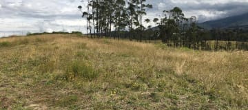 Venta terreno Cochasquí, 60ha para sembrar Flores, Sábila...
