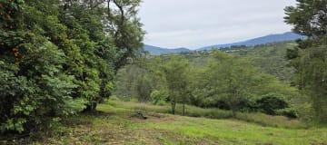 Terreno en venta en Urbanización Los Arrayanes – Exclusividad, privacidad y alta valorización