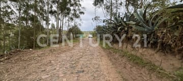 Terreno rural ecológico en Tumbaco con vista al Ilaló - Ideal conservación