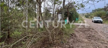 Terreno rural ecológico en Tumbaco con vista al Ilaló - Ideal conservación