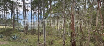 Terreno rural ecológico en Tumbaco con vista al Ilaló - Ideal conservación