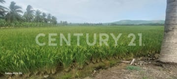 Terreno agrícola de 2.5 ha con riego - Ideal para cultivos