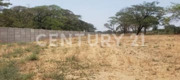 Terreno 10,500m² en La Aurora - Ideal para proyectos residenciales/comerciales