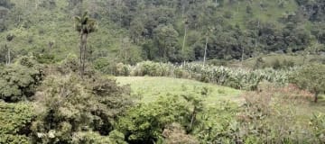 Terreno en venta - Sector reserva Cotacachi - Región de INTAG AV