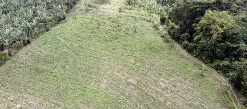 Terreno en venta - Sector reserva Cotacachi - Región de INTAG AV