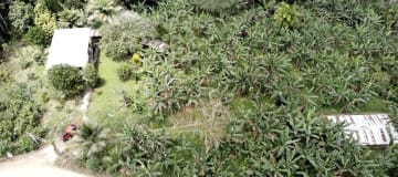 Terreno en venta - Sector reserva Cotacachi - Región de INTAG AV