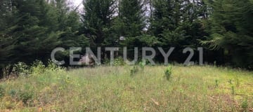 Terreno 1.86 ha en Palahua, vía a Cevallos - Ideal agroindustria